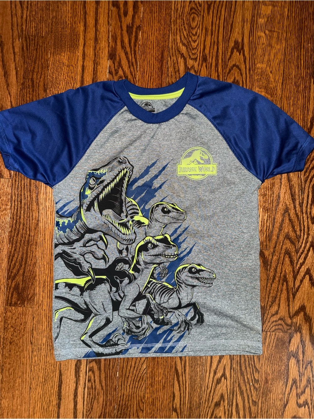 Kids' Grey & Blue Jurassic World Raptor Graphic Tee